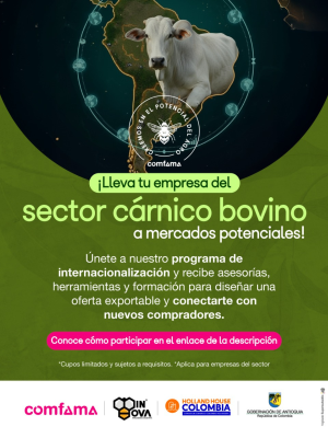 carnico carnico