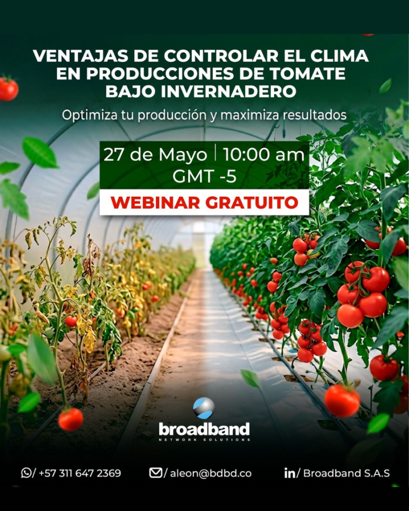 Tamaño para eventos nueva pagina web (98)