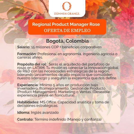 Vacantes tamaño pagina web - 2026-02-09T180620.283