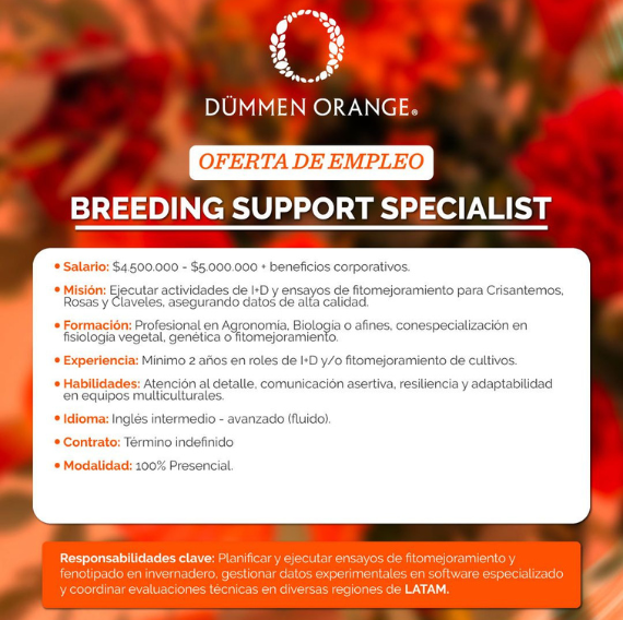 Vacantes tamaño pagina web - 2026-04-09T112453.924